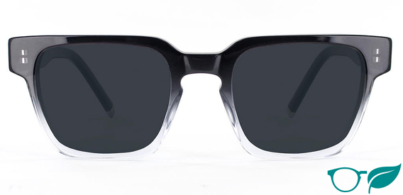 Douglas Sunglasses in Crystal Fade