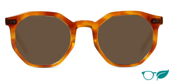 Williams Amber Sunglasses Front Image